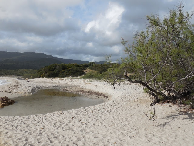 plage corse